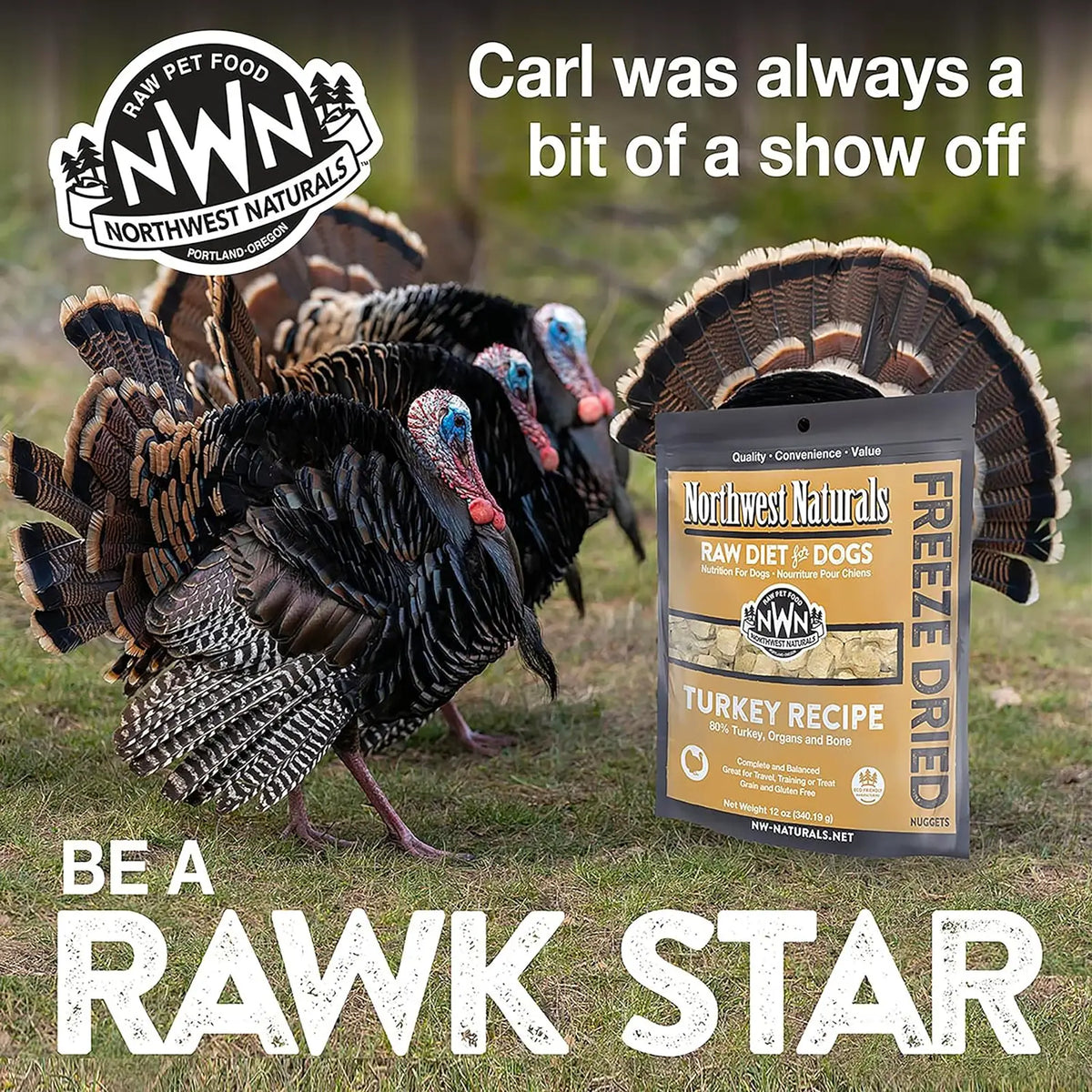 Northwest Naturals Freeze Dried Diets for Dogs - Turkey Recipe