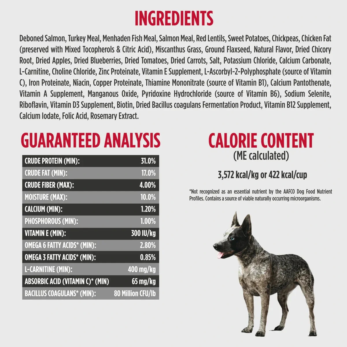 Nulo Freestyle Grain Free Small Breed Dog Food - Salmon & Red Lentils Recipe