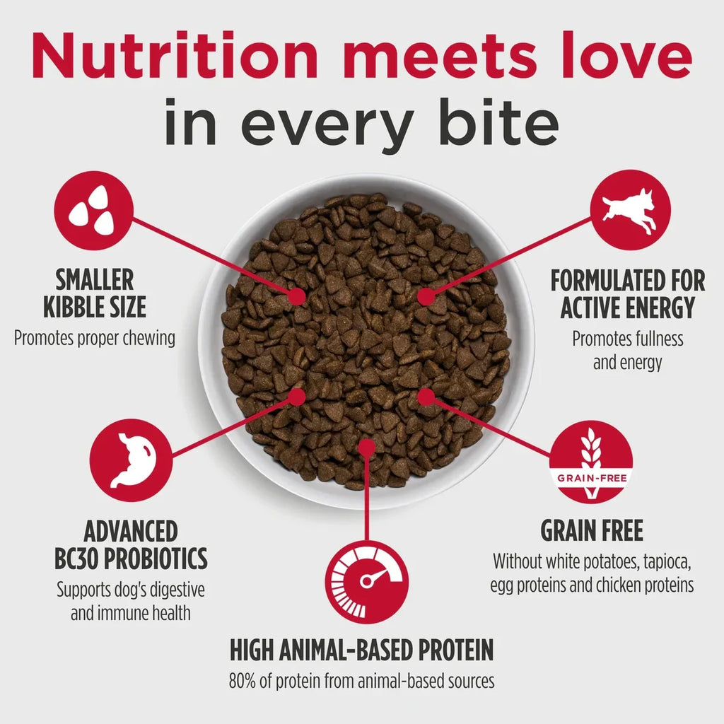 Nulo Freestyle Grain Free Small Breed Dog Food - Salmon & Red Lentils Recipe
