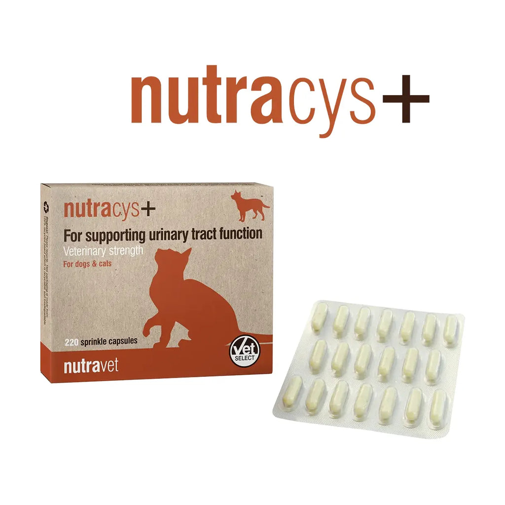 Nutravet - Nutracys+ (Urinary Supplement for Dogs & Cats) 220 caps