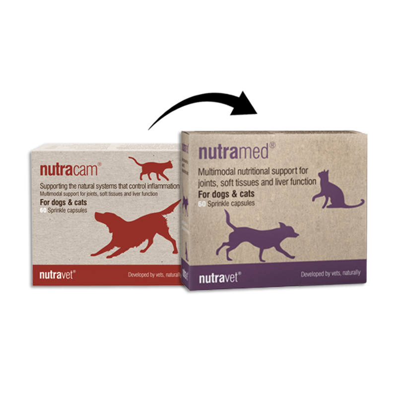 Nutravet - Nutramed (Inflammation Control for Dogs & Cats) 60 caps