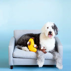 Zippy Paws Dog Toys Plush Burrow - Monkey 'n Banana