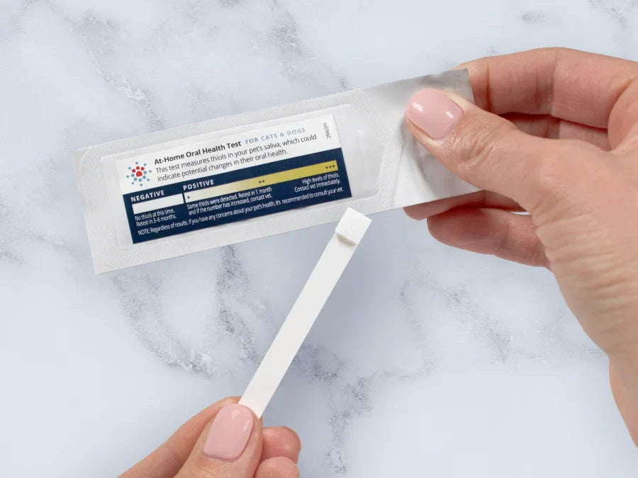 At-Home Oral Health Test for Cats & Dogs - 3CT