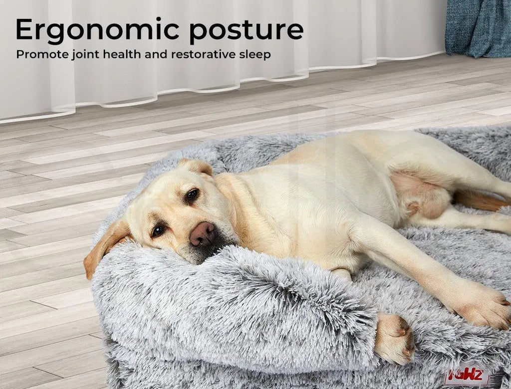 Pet Orthopaedic Bed