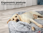 Pet Orthopaedic Bed