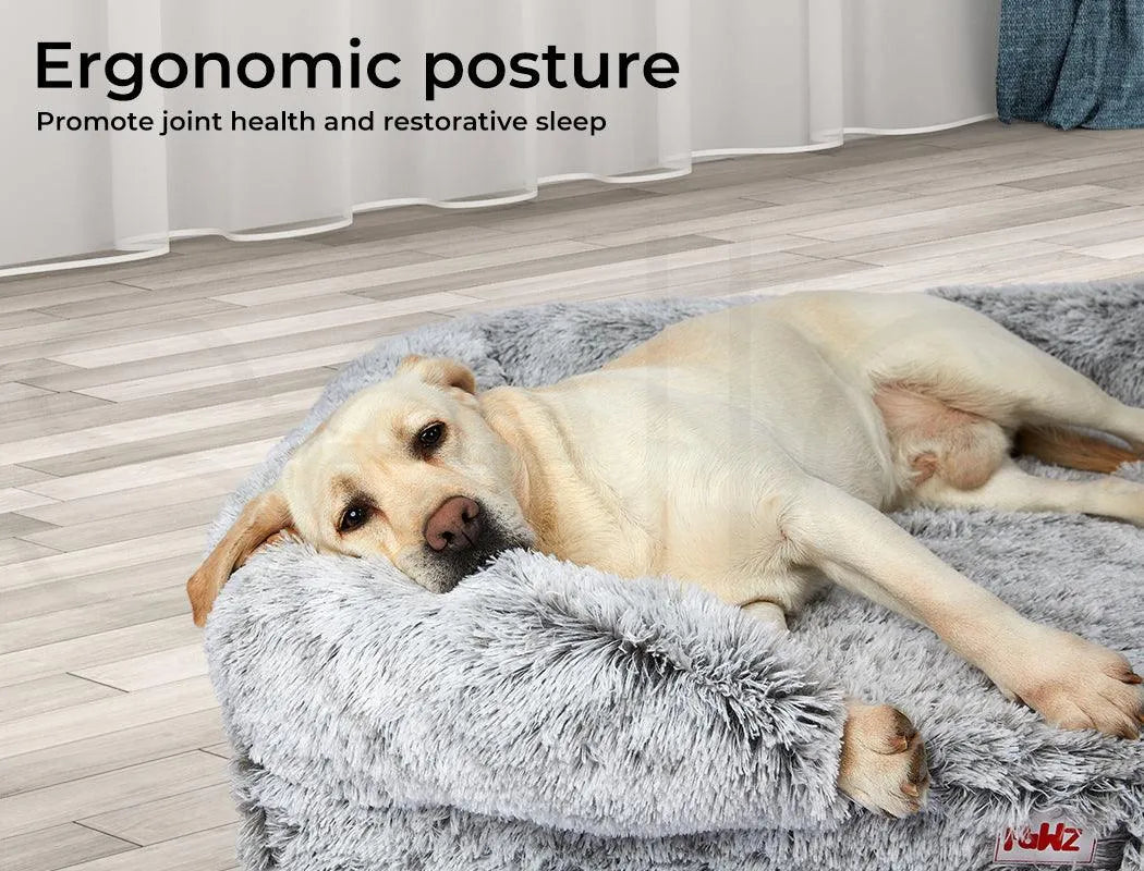 Pet Orthopaedic Bed