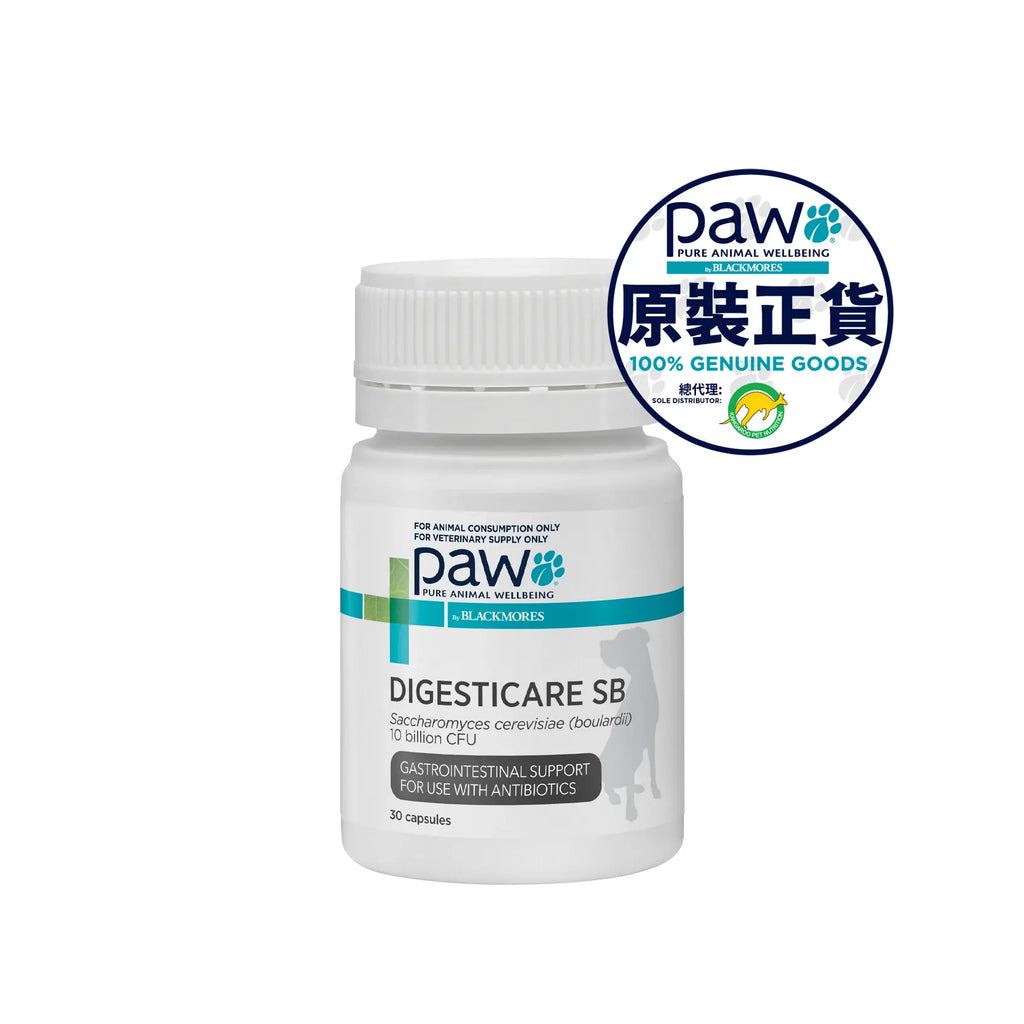 PAW - DigestiCare (Digestive Supplement for Dogs) 30 Capsules