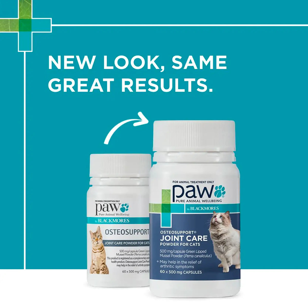 PAW - OsteoSupport Joint Care Capsules for Cats - 60 Capsules