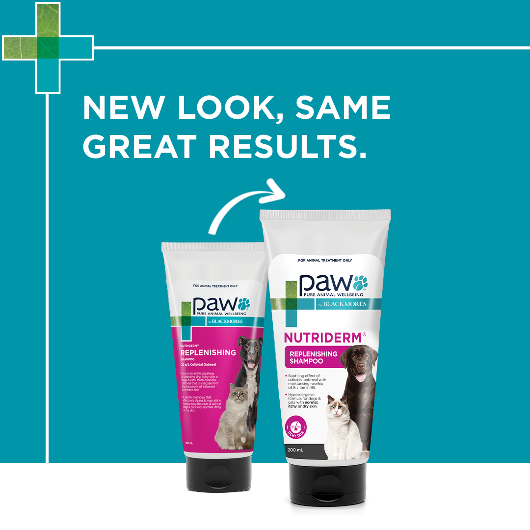 PAW - NutriDerm Shampoo 200ml