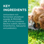PAW - DigestiCare Pre + Probiotic Powder Digestive Supplement for Dogs & Cats 143g
