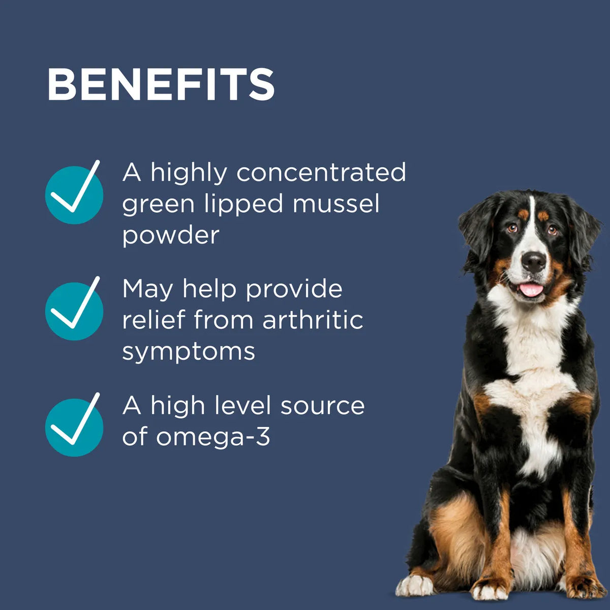 PAW - OsteoSupport Joint Care Capsules for Dogs