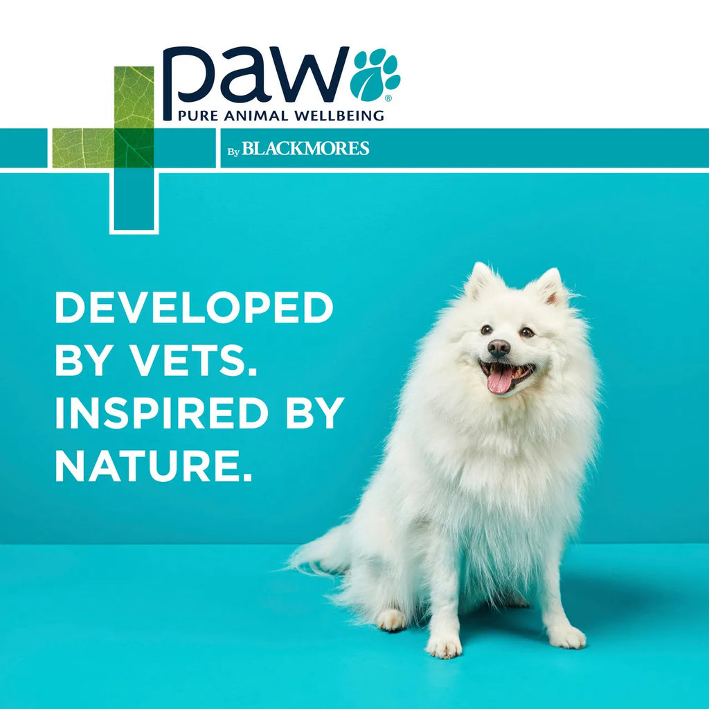 PAW - OsteoAdvanced Joint Support Chews for Dogs - 60 Chews