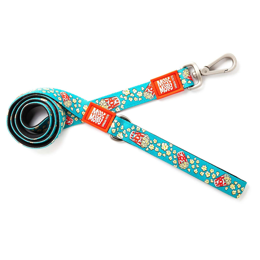 Max & Molly Dog Leash