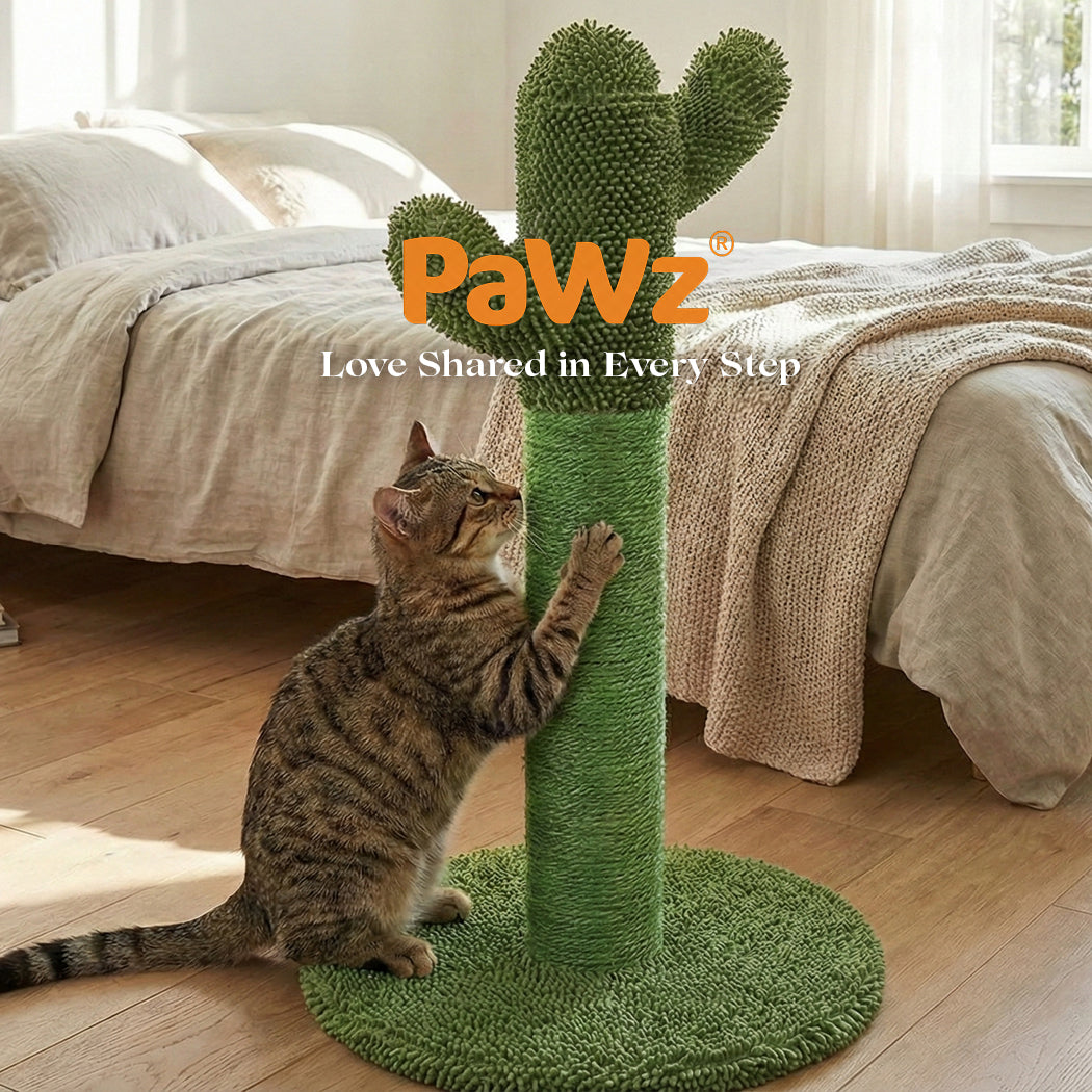 Cat Scratcher Post Cactus