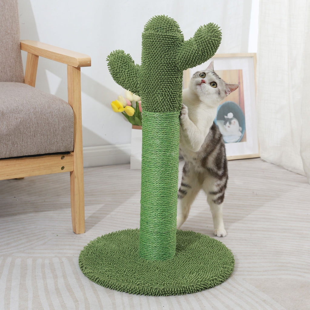 Cat Scratcher Post Cactus