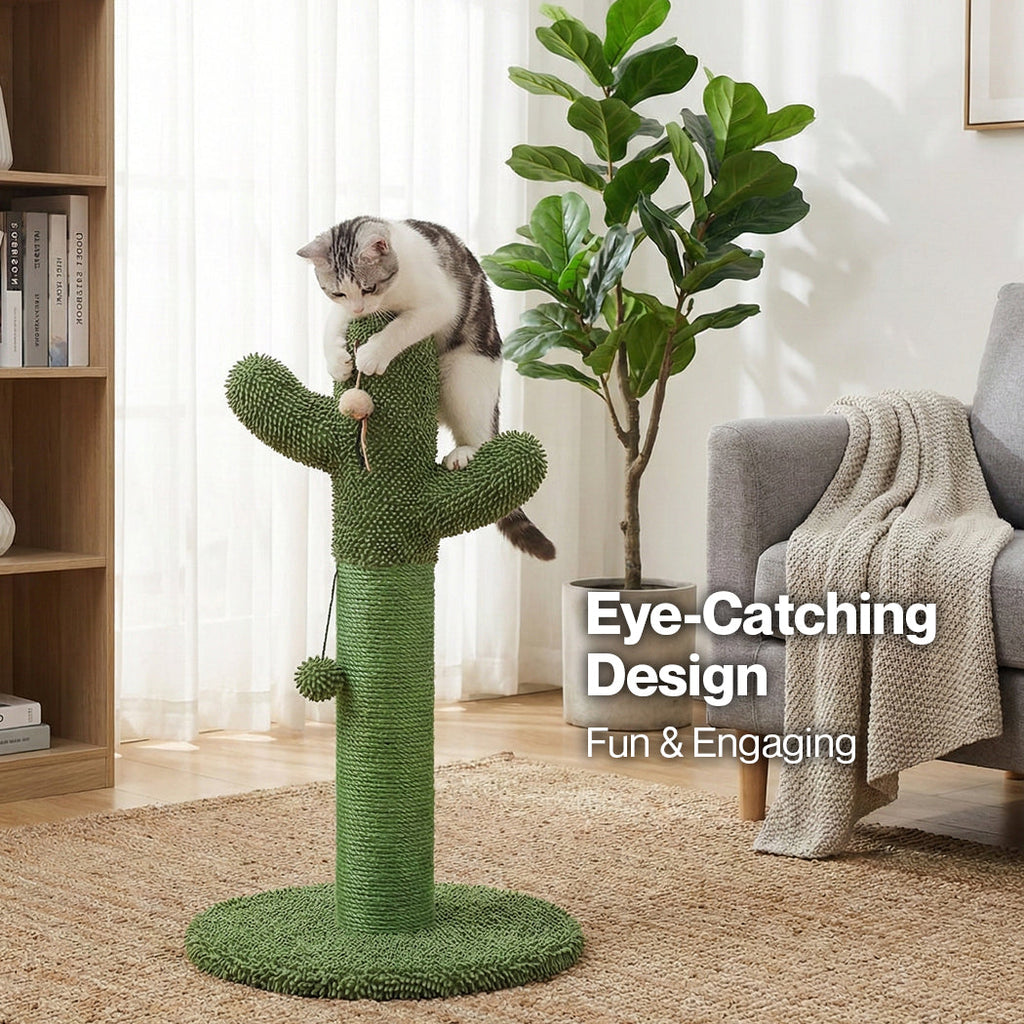 Cat Scratcher Post Cactus