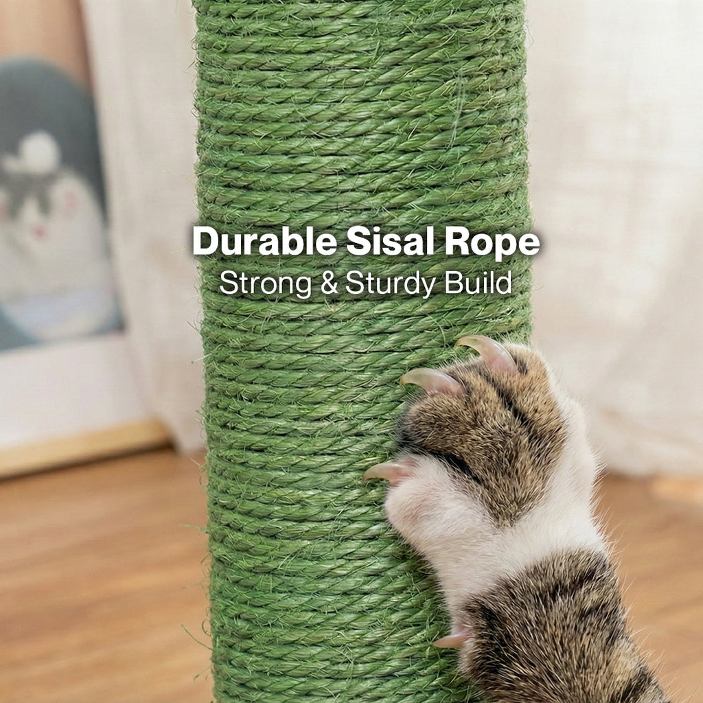 Cat Scratcher Post Cactus