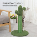 Cat Scratcher Post Cactus