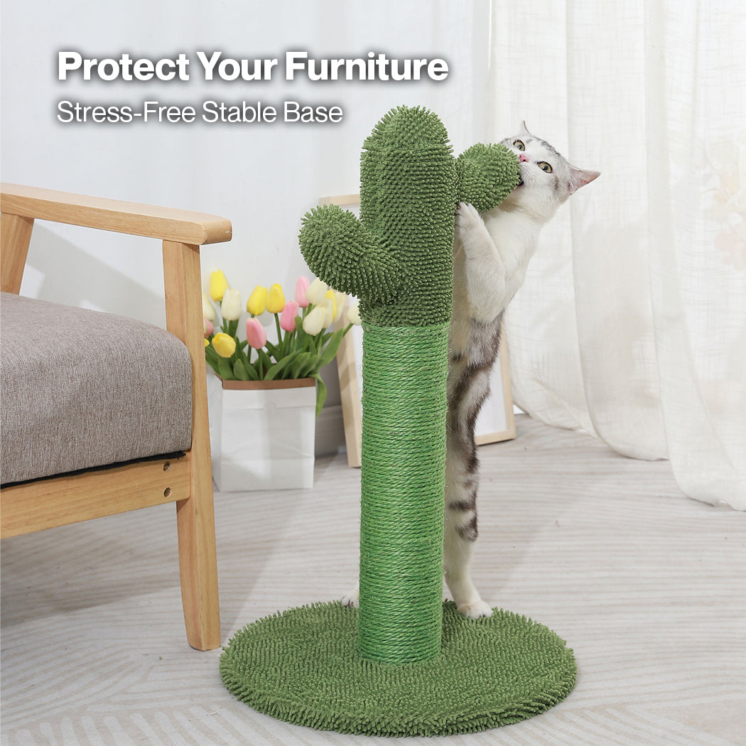 Cat Scratcher Post Cactus
