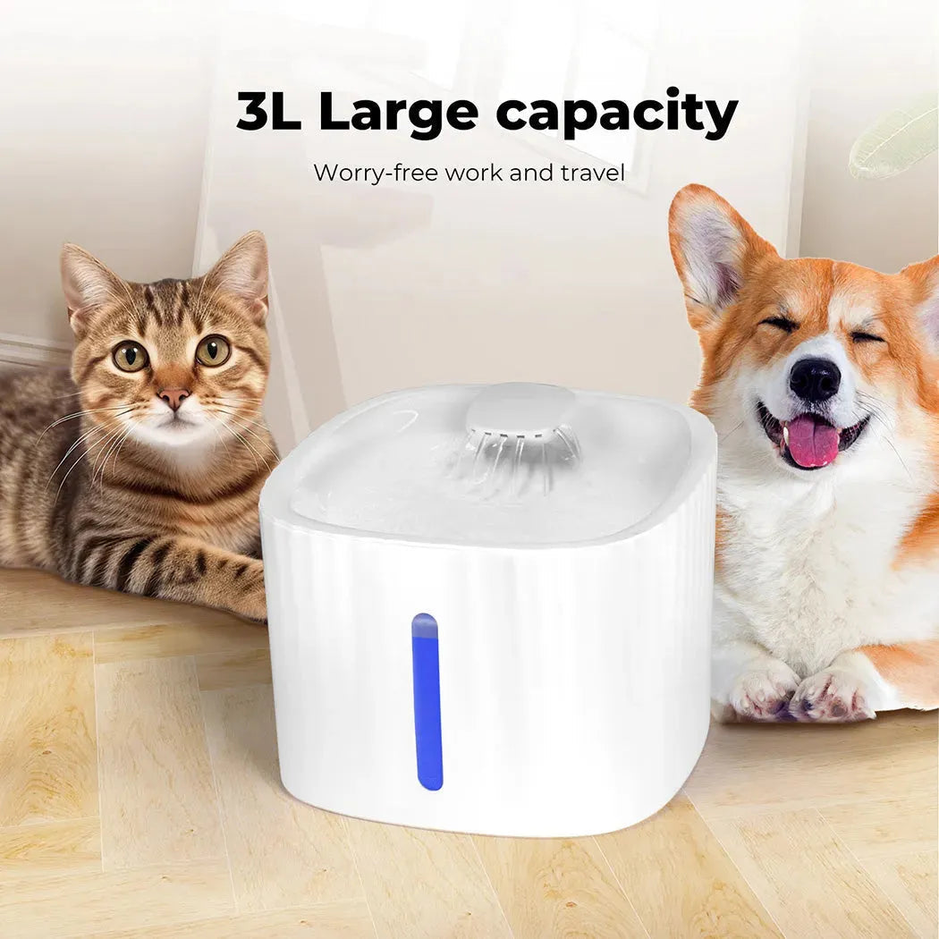 Dog & Cat Water Fountain – Automatic Pet Drinking Dispenser