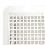 Pet Dryer Box Automatic Grooming for Cats & Dogs
