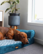 Pet Sofa Bed