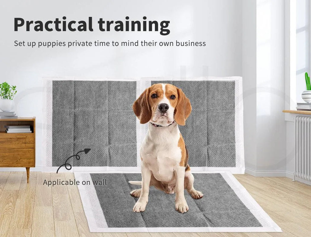 Pet Toilet Training Pads Ultra Absorbent