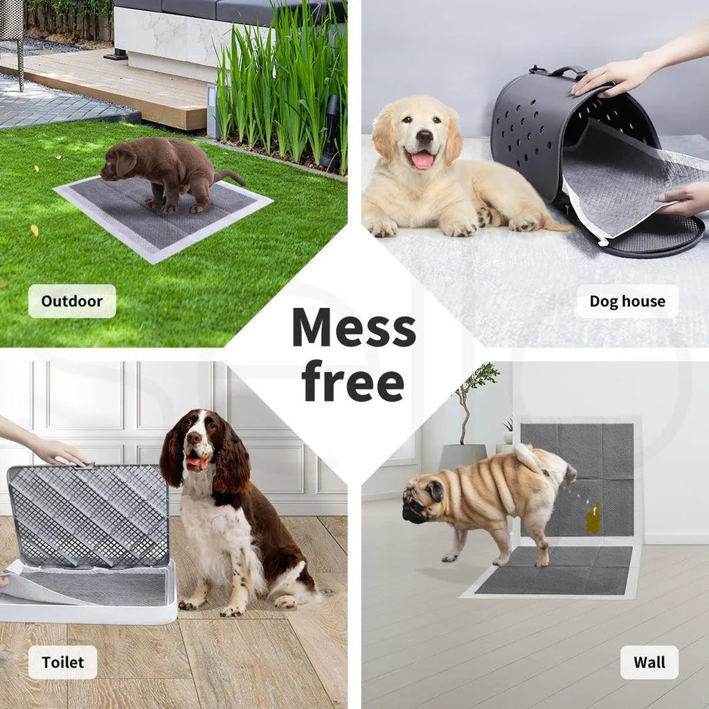 Pet Toilet Training Pads Ultra Absorbent