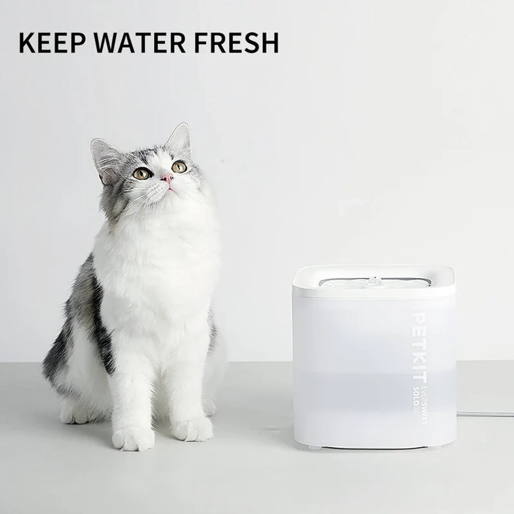 Petkit - Eversweet SOLO SE Drinking Fountain