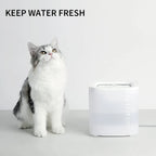 Petkit - Eversweet SOLO SE Drinking Fountain