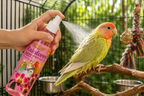 Pink Rainforest Mist Bath Spray for Small Birds 8oz