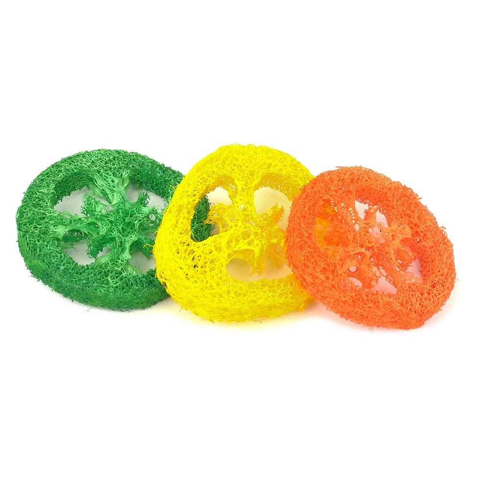 Pipsqueak Chew Loofah