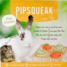 Pipsqueak Small Animal Play Garden