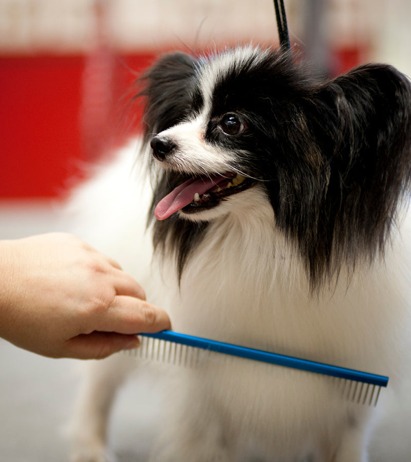 Plush Puppy Professional Grooming Combs C001 Grooming Combs