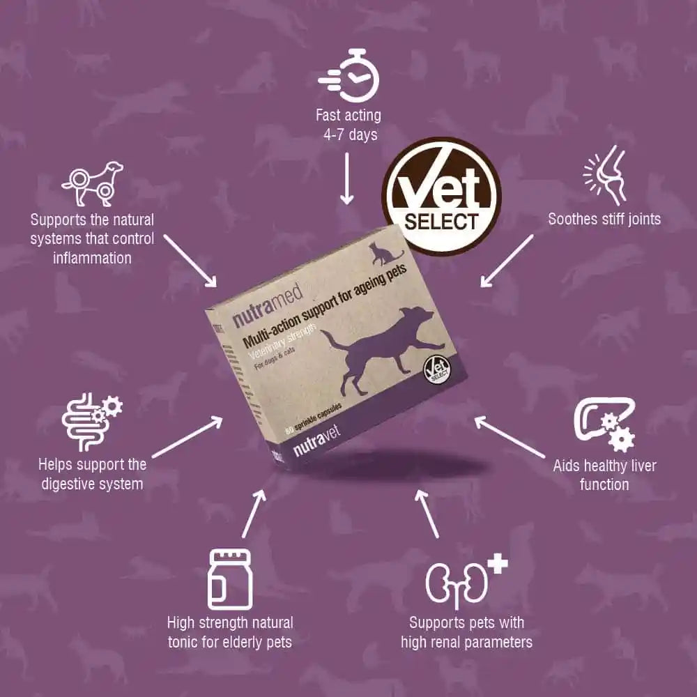 Nutravet - Nutramed (Inflammation Control for Dogs & Cats) 60 caps