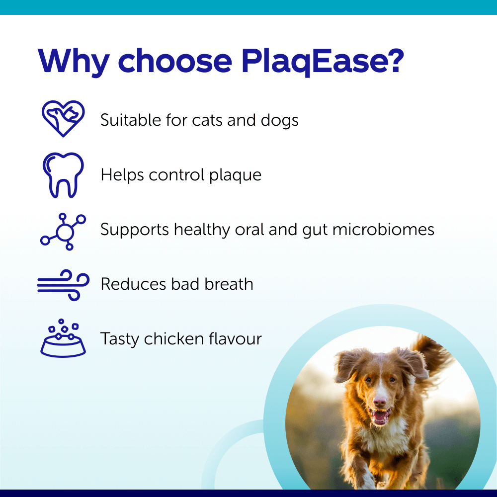 Protexin - PlaqEase Dental Powder (Dental Supplement for Dogs & Cats)