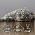 Protexin - Cystophan (Urinary Supplement for Cats) 240 Caps