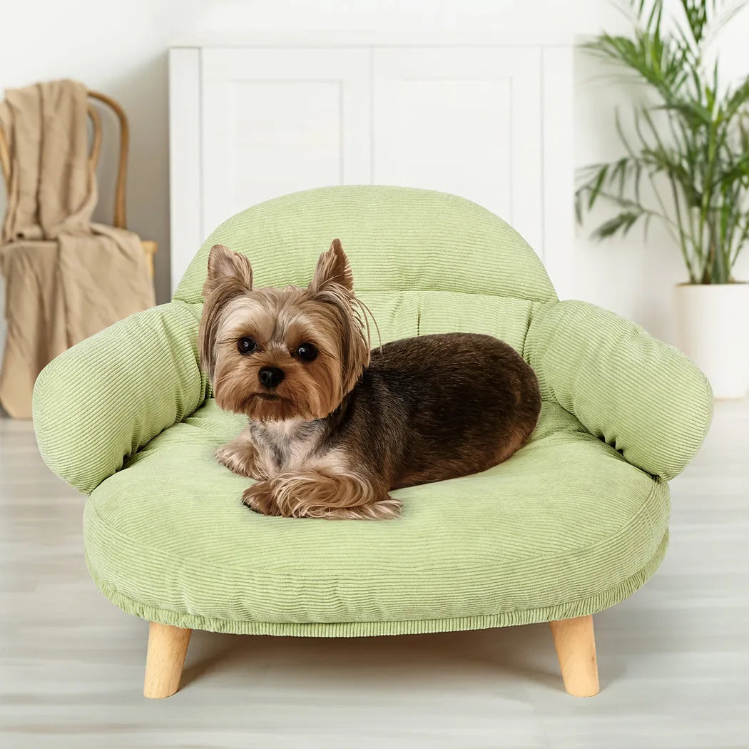 CloudNest Elevated Pet Sofa Bed