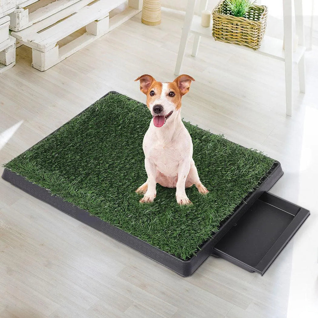 Fake Grass Puppy Pad - Potty Training Pad