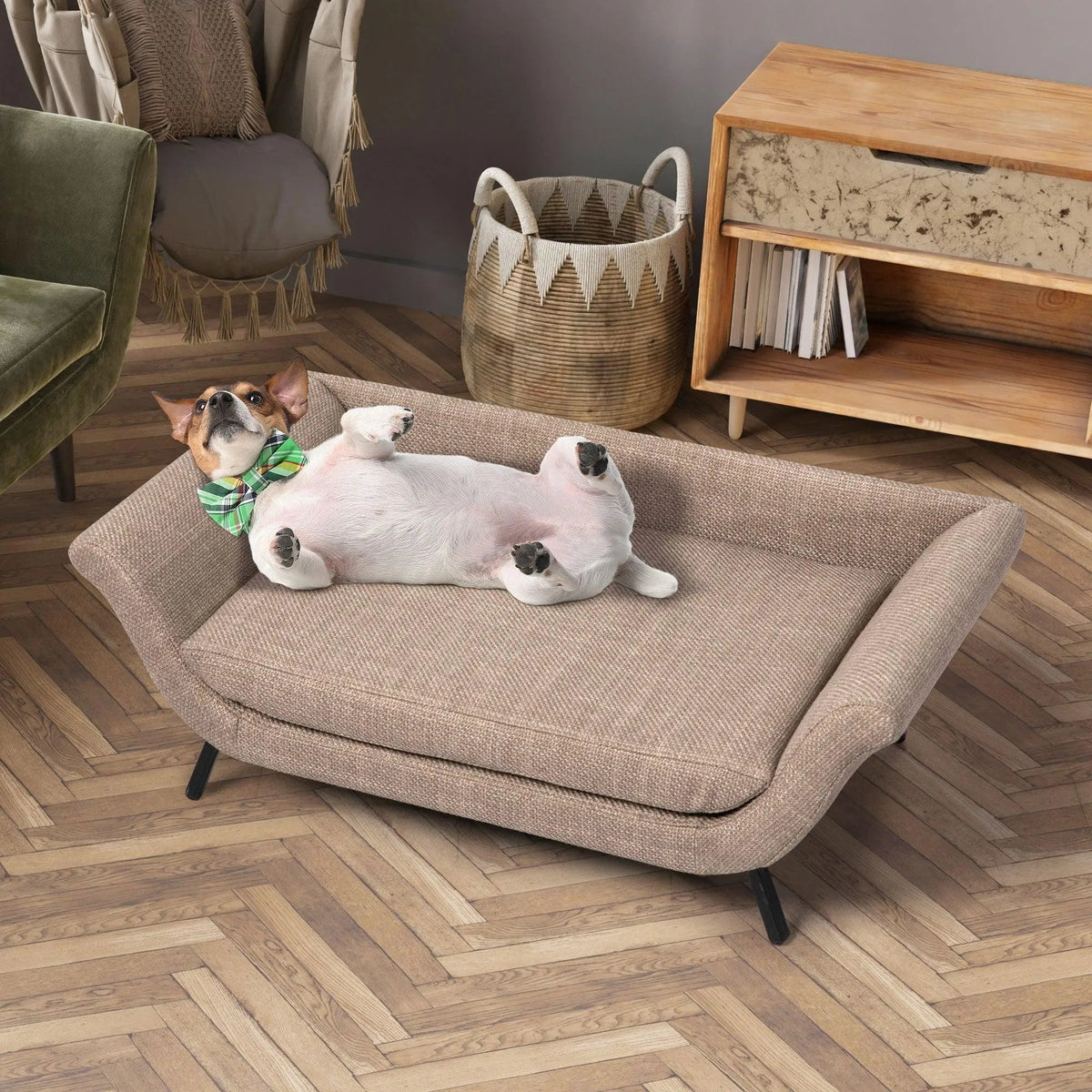 Raised Dog Lounge Bed – Elevated Sofa Style