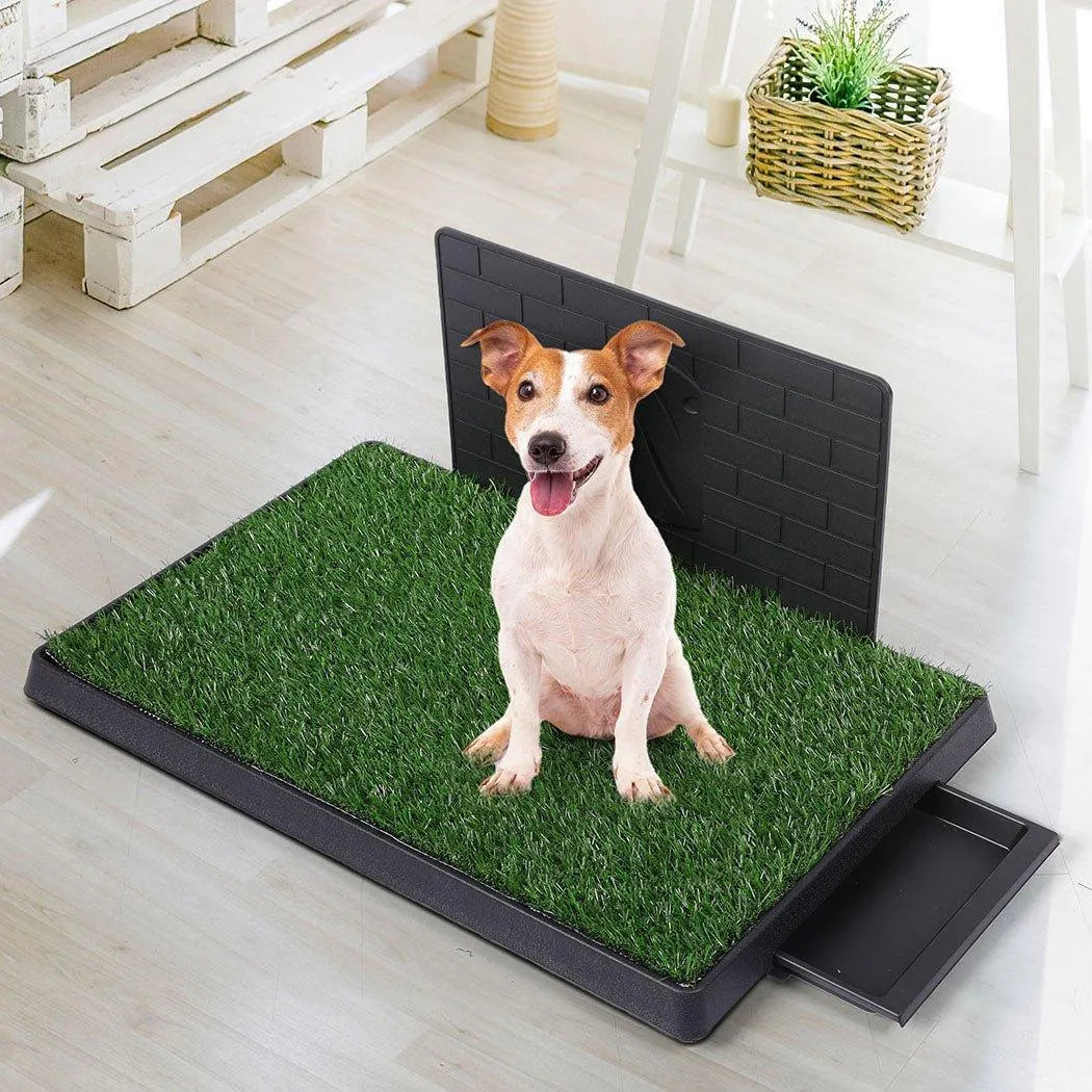 Synthetic Dog Grass Mat with Splash-Proof Wall