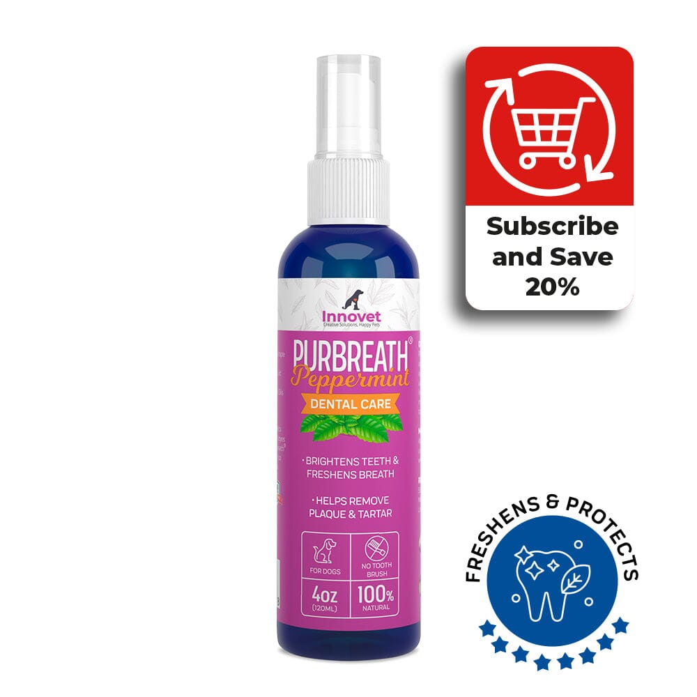 PurBreath: Plaque Remover for Dogs and Cats