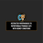 Purina Pro Plan Veterinary Diets - Feline NF Kidney Function Advanced Care 5.5oz