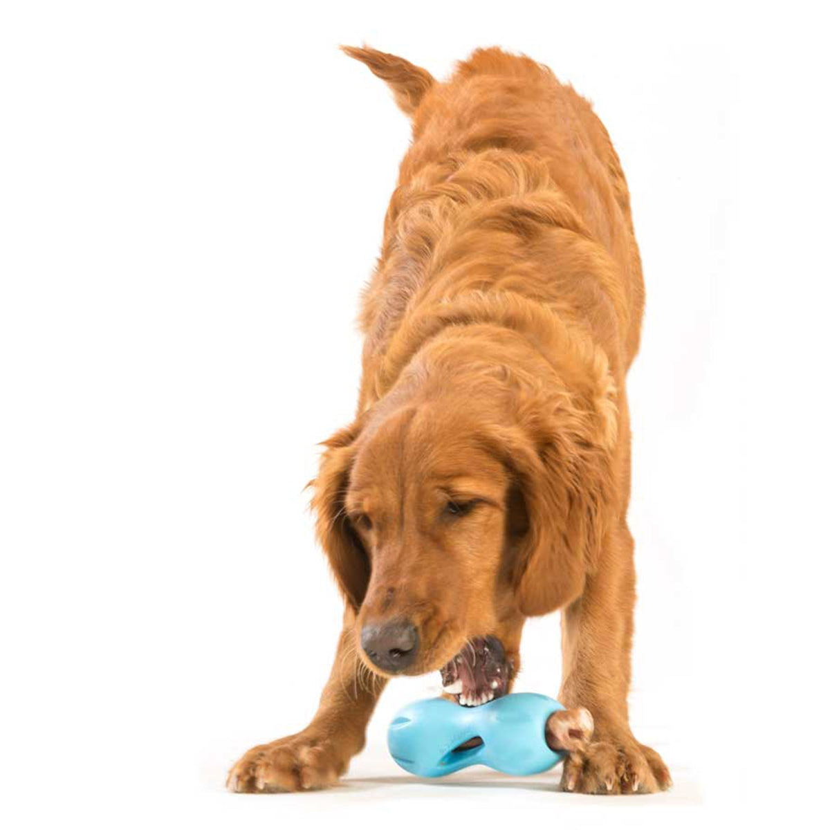 West Paw Qwizl Treat Dispensing Dog Toys