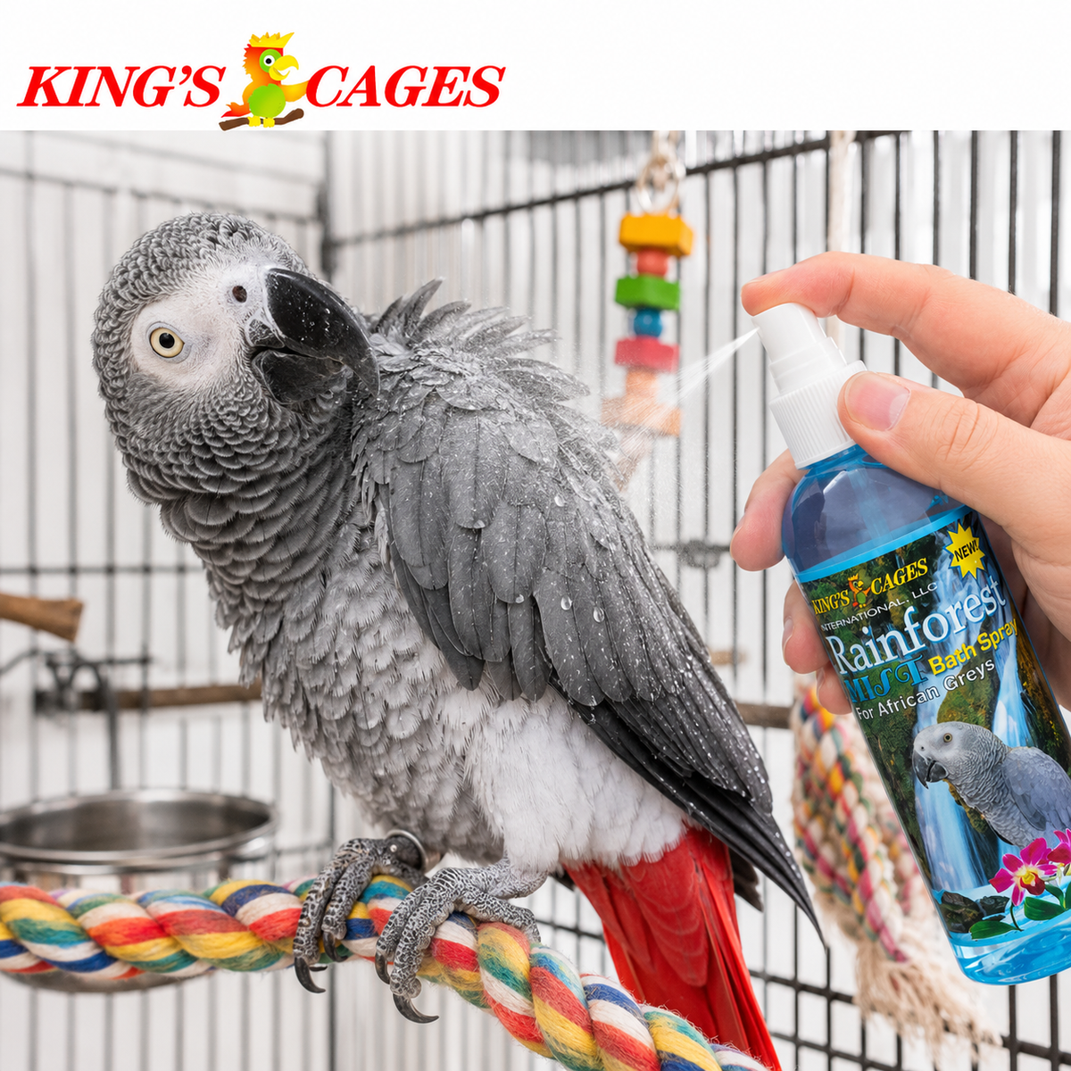 Kings Cages Blue Rainforest Mist Bath Spray for African Greys 8oz