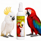 White Rainforest Mist Cockatoos and Macaw 8oz