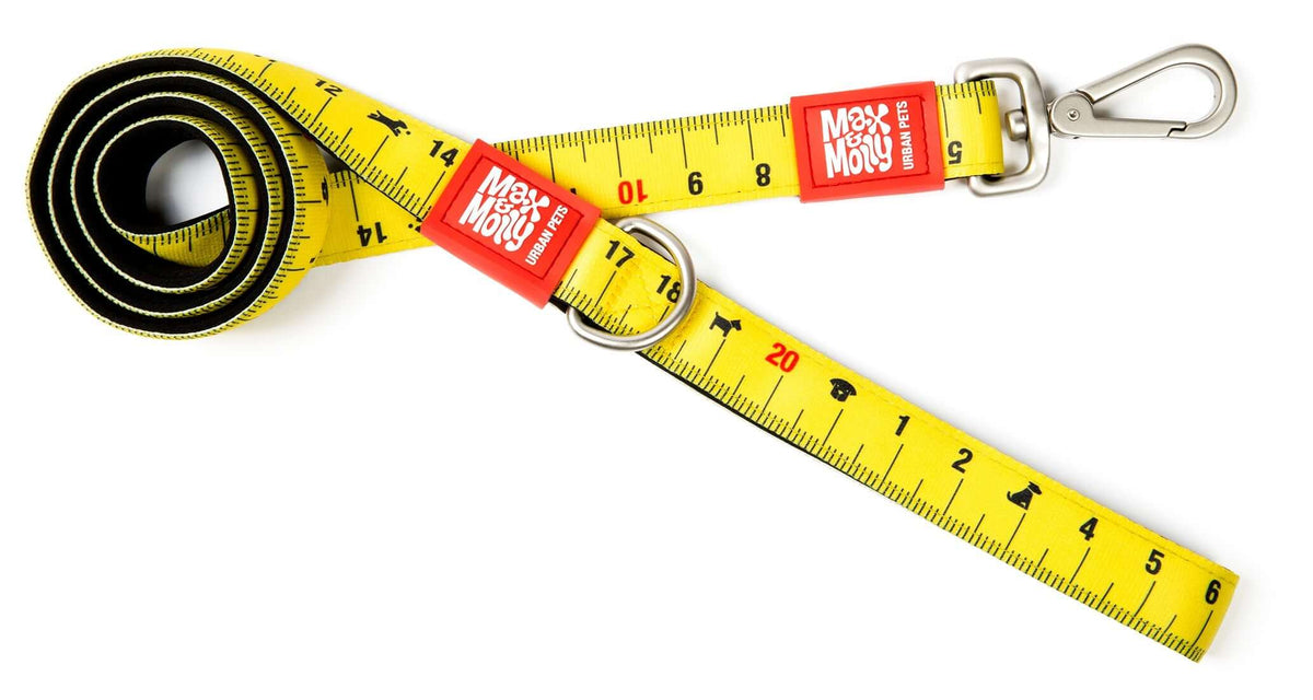 Max & Molly Dog Leash