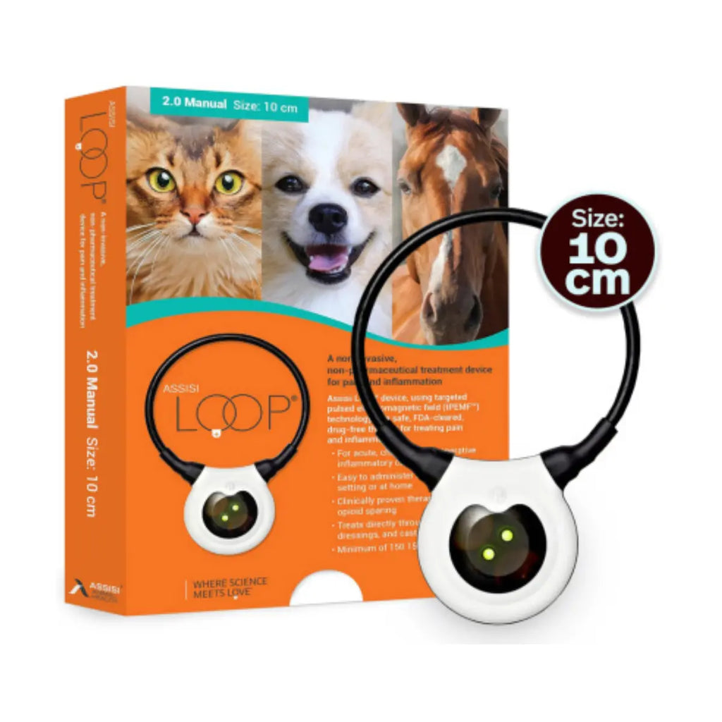 Assisi Loop 2.0 - Targeted PEMF Therapy Device
