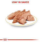 Royal Canin - Adult Yorkshire Terrier Loaf Wet Food 85g