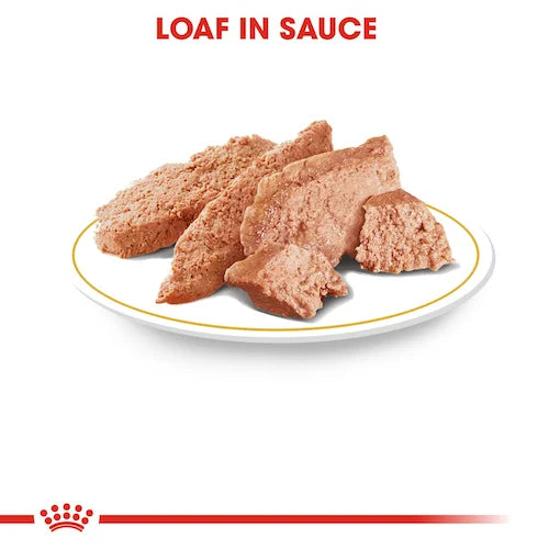 Royal Canin - Adult Yorkshire Terrier Loaf Wet Food 85g